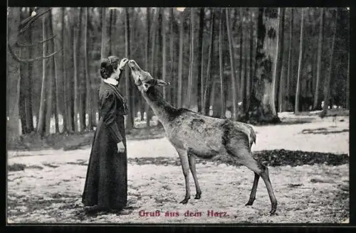 AK Harz, Junge Dame füttert ein Reh