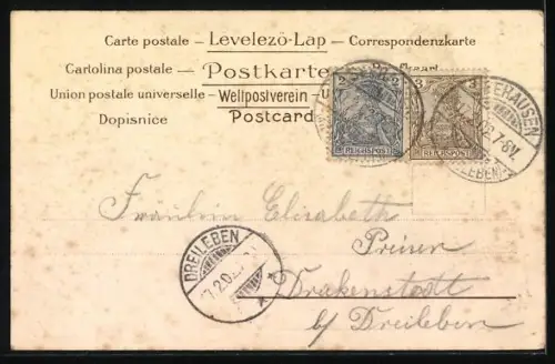 AK Mädchen mit Futterschüssel und zwei erwartungsvolle Hunde