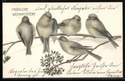 AK Vögel auf Zweigen, Weihnachtsgruss