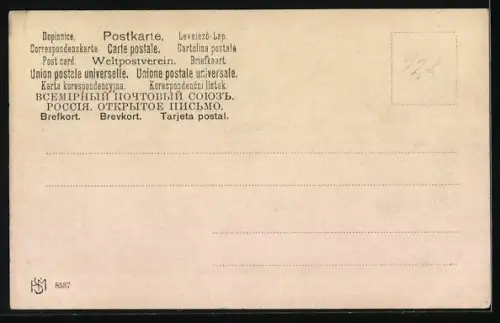 AK Zwei Schwäne an einem Gewässer