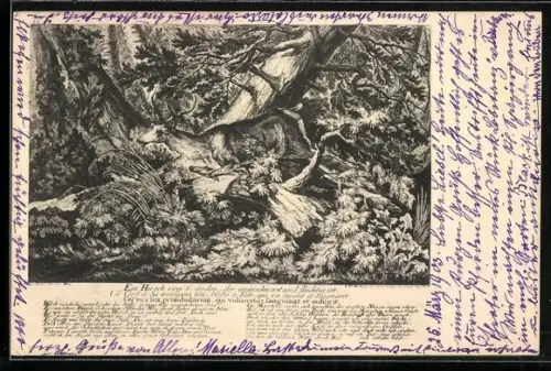 AK Hirsch im dichten Wald