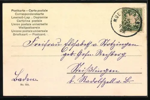 AK Hirsch im dichten Wald