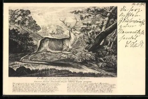 AK Springender Hirsch auf einer Waldlichtung