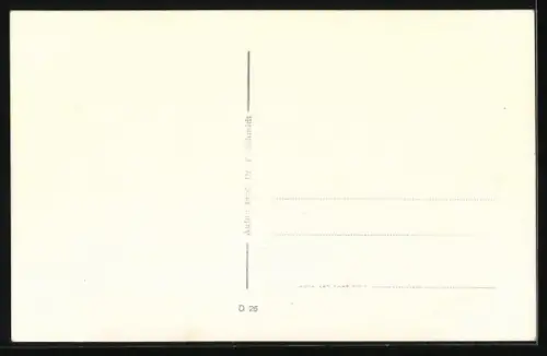 AK Abgezäunte Flamingowiese mit Flamingos, Besucher