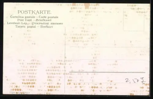 AK Schöne Vögel streiten sich um das Futter