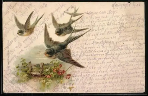 AK Fliegende Schwalben im Sommer