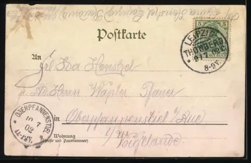 AK Fliegende Schwalben im Sommer