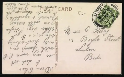 AK Zwei weisse Katzen in einem Körbchen