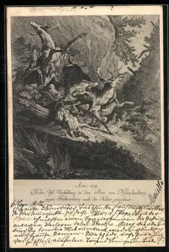 AK Nymphenburg, Park, Hirsche beim Kampf