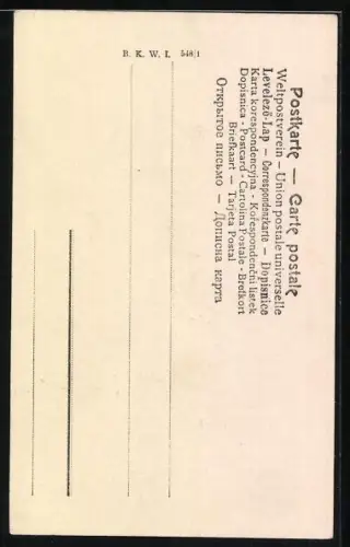 AK Papagei auf einem Ast