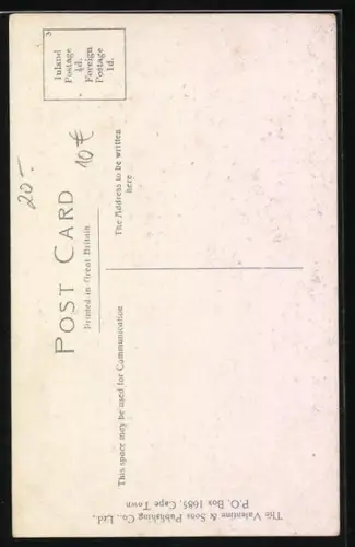 AK Cock Ostrich, about to sit on nest