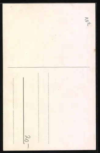 AK Zwei Flamingos am Wasser