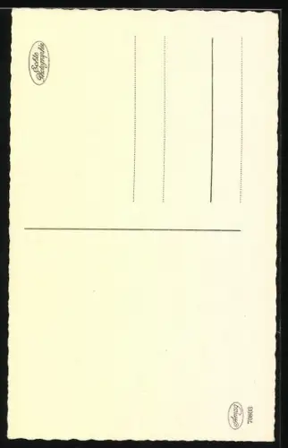 AK Feuerkopf, Edles Reitpferd