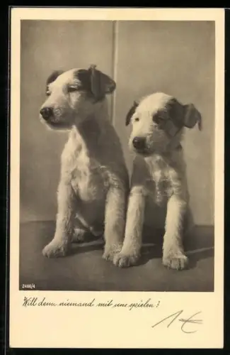 AK Will denn niemand mit uns spielen!, Zwei kleine Terrier