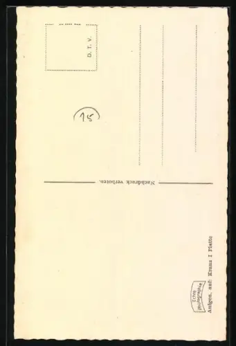 AK Terrier, Seitenportrait