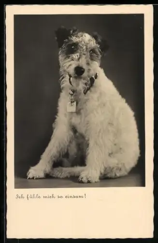 AK Terrier mit hängender Zunge