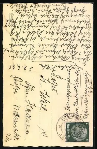 AK Kleiner Terrier sitzt auf einem Briefkasten