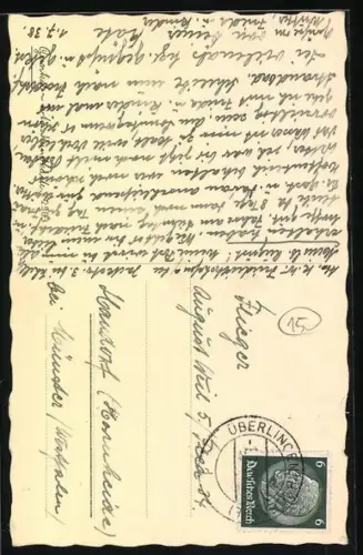 AK Bin ich nicht niedlich?, Terrier mit geneigtem Kopf