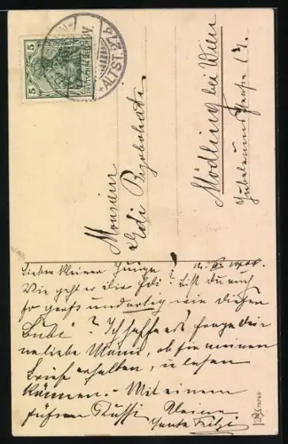 AK Kleiner Bauer mit geschmückter Gans im Arm