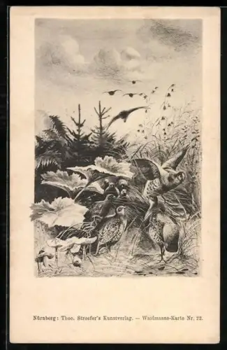 AK Rebhühner am Boden und in der Luft