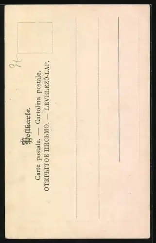 AK Rebhühner am Boden und in der Luft