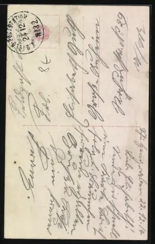 AK Weisse Langhaar-Katze, Portrait