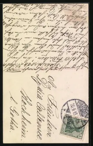 AK Zwei Katzen mit Trockenblumen, Geburtstagsgruss