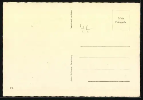 AK Katzenmutter mit Jungen im Stroh