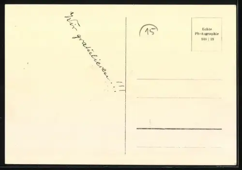 AK Die Unzertrennlichen, Drei junge Terrier