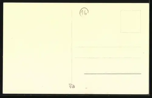 AK Zwei Terrier mit Blumen, Namenstagsgruss