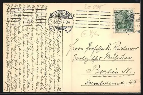 AK Hamburg-St.Georg, Hôtel Berliner Hof, Aussen-und Innenansicht mit Speisesaal