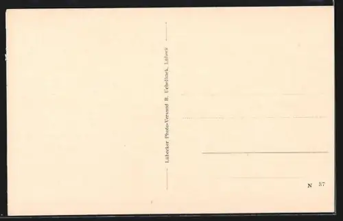 AK Baiersbronn i. Wttbg., Pension Elisabeth, Ortsansicht aus der Vogelschau