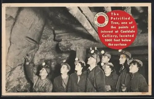 AK Coaldale, PA, The petrified tree, Bergbau