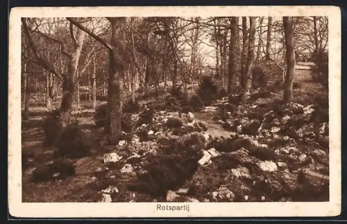 AK Heemstede, Internationale Voorjaars-Bloemententoonstelling 1925, Rotspartij, Ausstellung