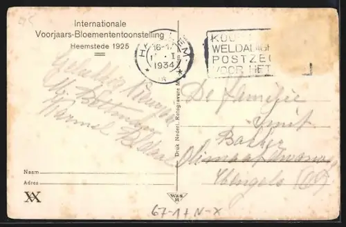 AK Heemstede, Internationale Voorjaars-Bloemententoonstelling 1925, Rotspartij, Ausstellung