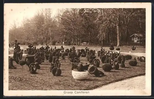 AK Heemstede, Internationale Voorjaars-Bloemententoonstelling 1925, Groep Coniferen, Ausstellung