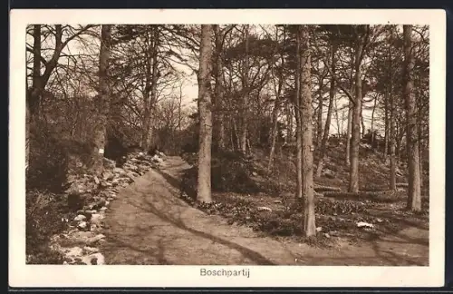 AK Heemstede, Internationale Voorjaars-Bloemententoonstelling 1925, Boschpartij, Ausstellung