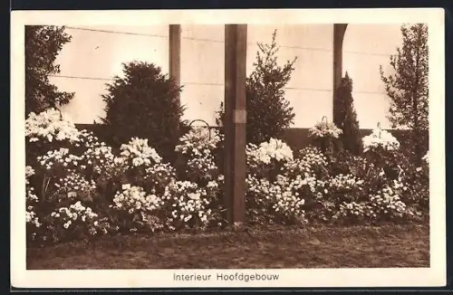AK Heemstede, Internationale Voorjaars-Bloemententoonstelling 1925, Interieur Hoofdgebouw, Ausstellung