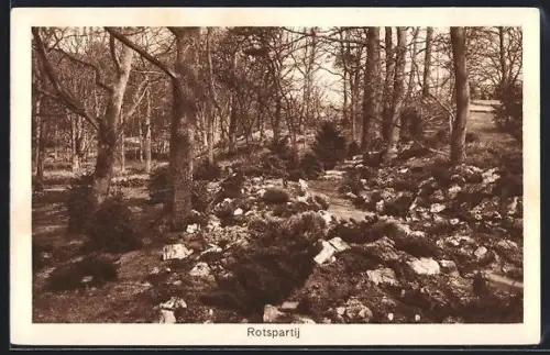 AK Heemstede, Internationale Voorjaars-Bloemententoonstelling 1925, Rotspartij, Ausstellung