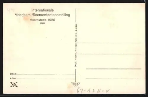 AK Heemstede, Internationale Voorjaars-Bloemententoonstelling 1925, Rotspartij, Ausstellung