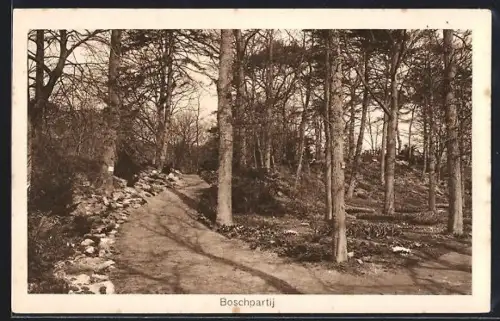 AK Heemstede, Internationale Voorjaars-Bloemententoonstelling 1925, Boschpartij, Ausstellung