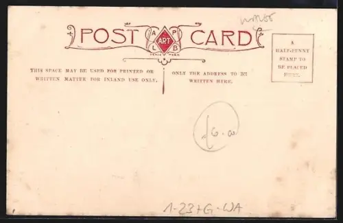 AK Swansea, The King and Queen at Swansea 1904