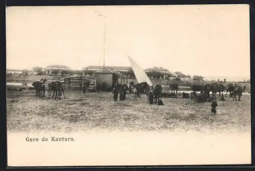 AK Kantara, La Gare, Kamele vor dem Bahnhof