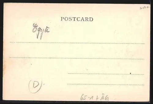 AK Kantara, La Gare, Kamele vor dem Bahnhof