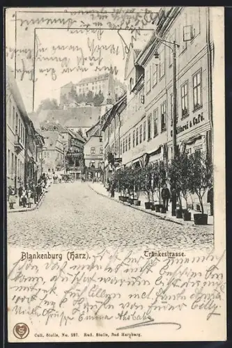 AK Blankenburg /Harz, Tränkestrasse, Schlossansicht, Hotel und Café