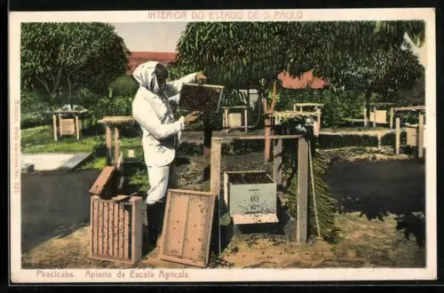 AK Piracicaba, Imker bei den Bienenstöcken