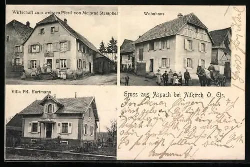 AK Altkirch /O. Els., Gasthaus zum weissen Pferd von Meinrad Stempfler, Villa Frl. Hartmann, Wohnhaus