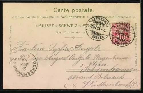 Lithographie Rapperswil, Schloss, Aufstieg zum Schloss, Bahnhof, Totalansicht vom Ort