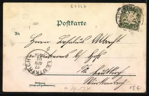 Passepartout-Lithographie Frankenthal / Pfalz, Kriegerdenkmal, Wormser-Thor, Speierer Thor, Luitpold-Brunnen, mit Blumen