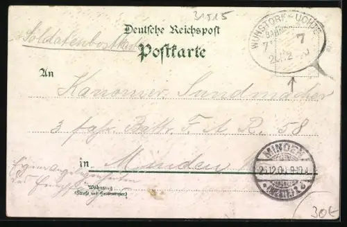 Lithographie Steinhude, Kirche, Villa Bretthauer, Bahnhof, Strassenpartie